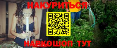 наркотики Новозыбков