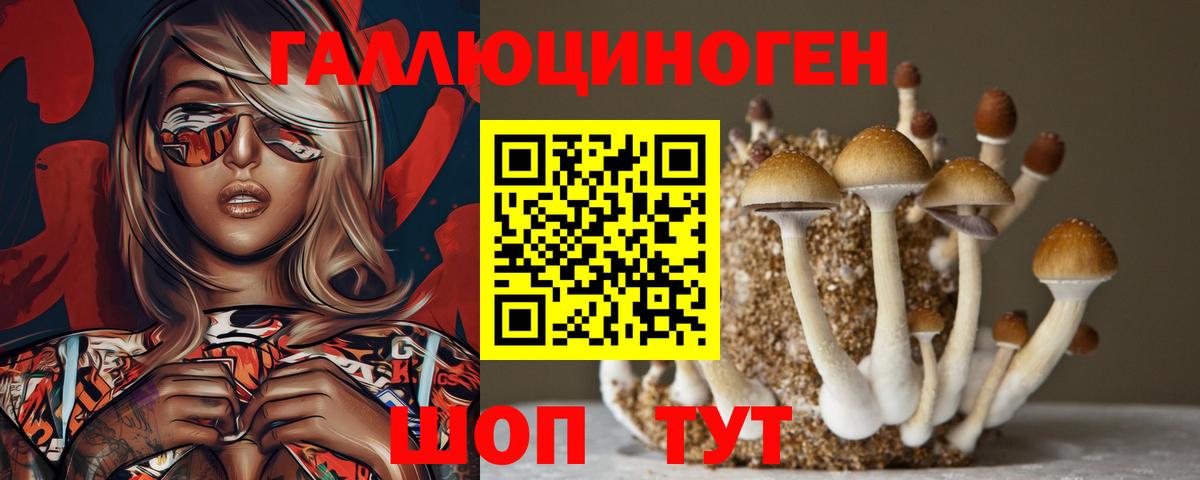 Галлюциногенные грибы Magic Shrooms Славянск-на-Кубани