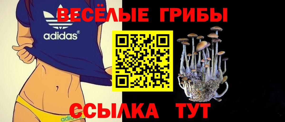 Псилоцибиновые грибы GOLDEN TEACHER  Вход с VPN  даркнет сайт  Славянск-на-Кубани  Галлюциногенные грибы ЛСД 